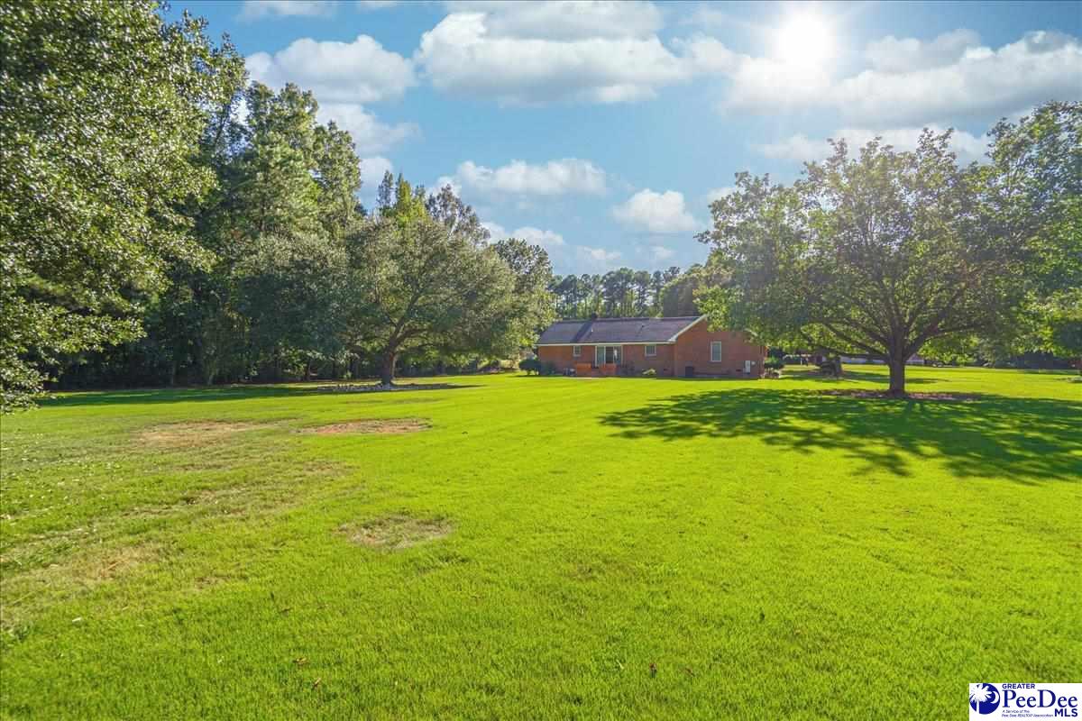 124 Peachtree Drive