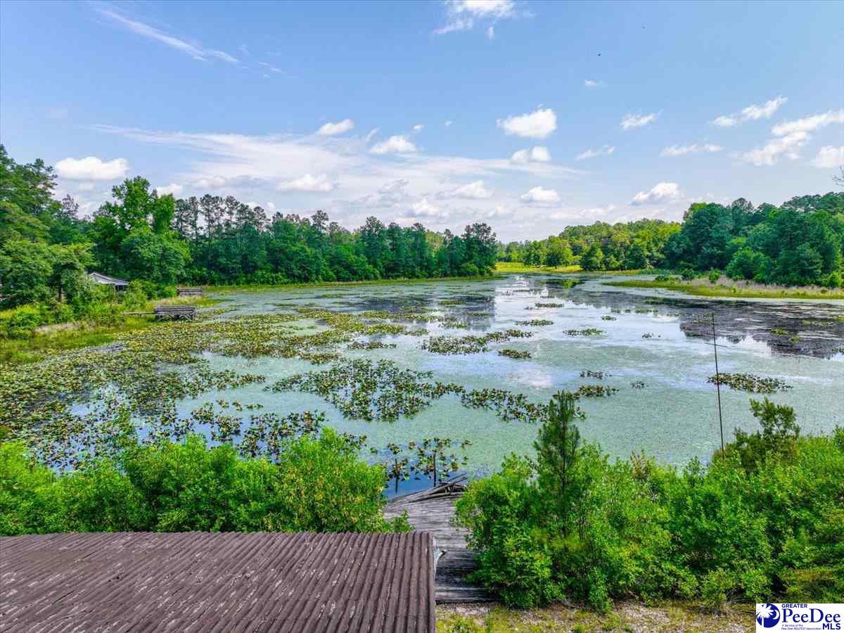 2557 Old Wire Rd