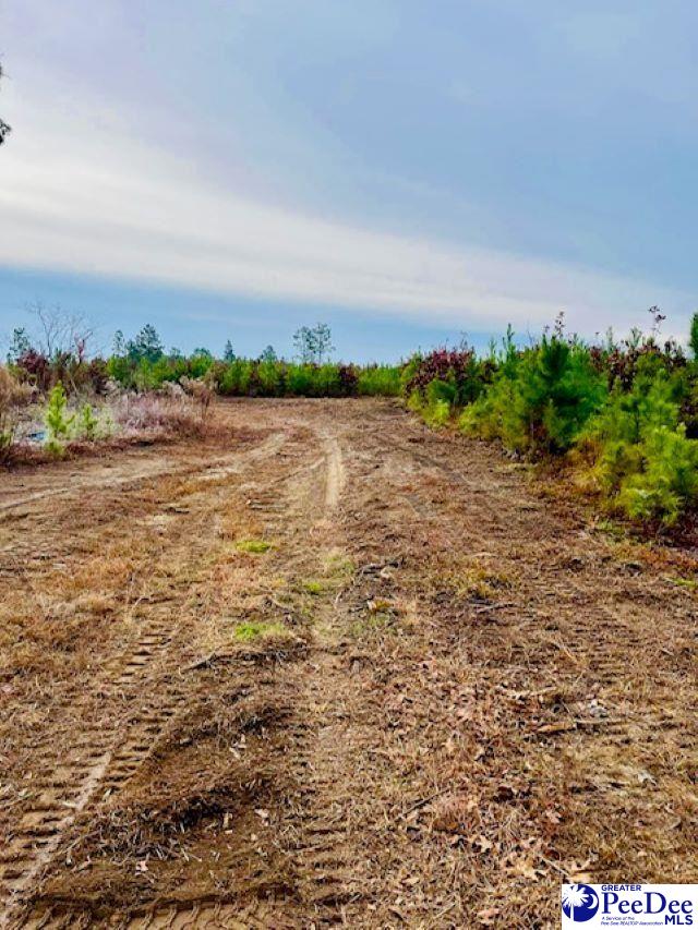 Gun-O-Field Rd
