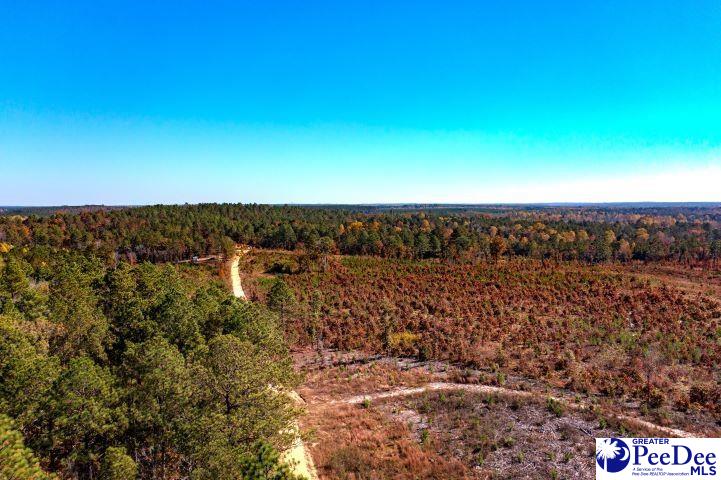 Gun-O-Field Rd