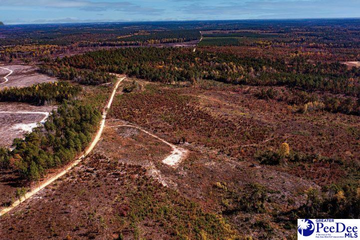 Gun-O-Field Rd