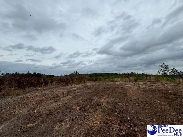 Gun-O-Field Rd