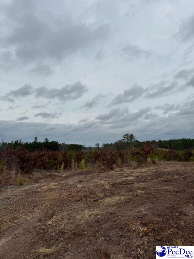 Gun-O-Field Rd