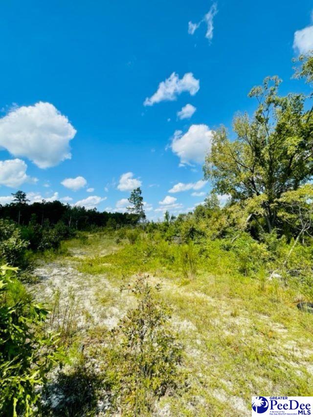 Gun-O-Field Rd