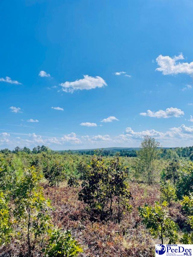 Gun-O-Field Rd