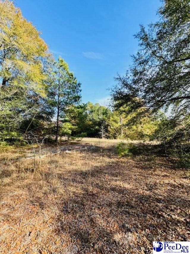 1456 Azaleawoods Dr