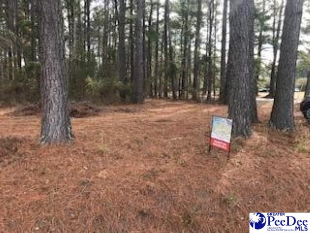 Photo of Lot 2 Stonewall Plantation and Twin Church Rd, Timmonsville, SC 29161