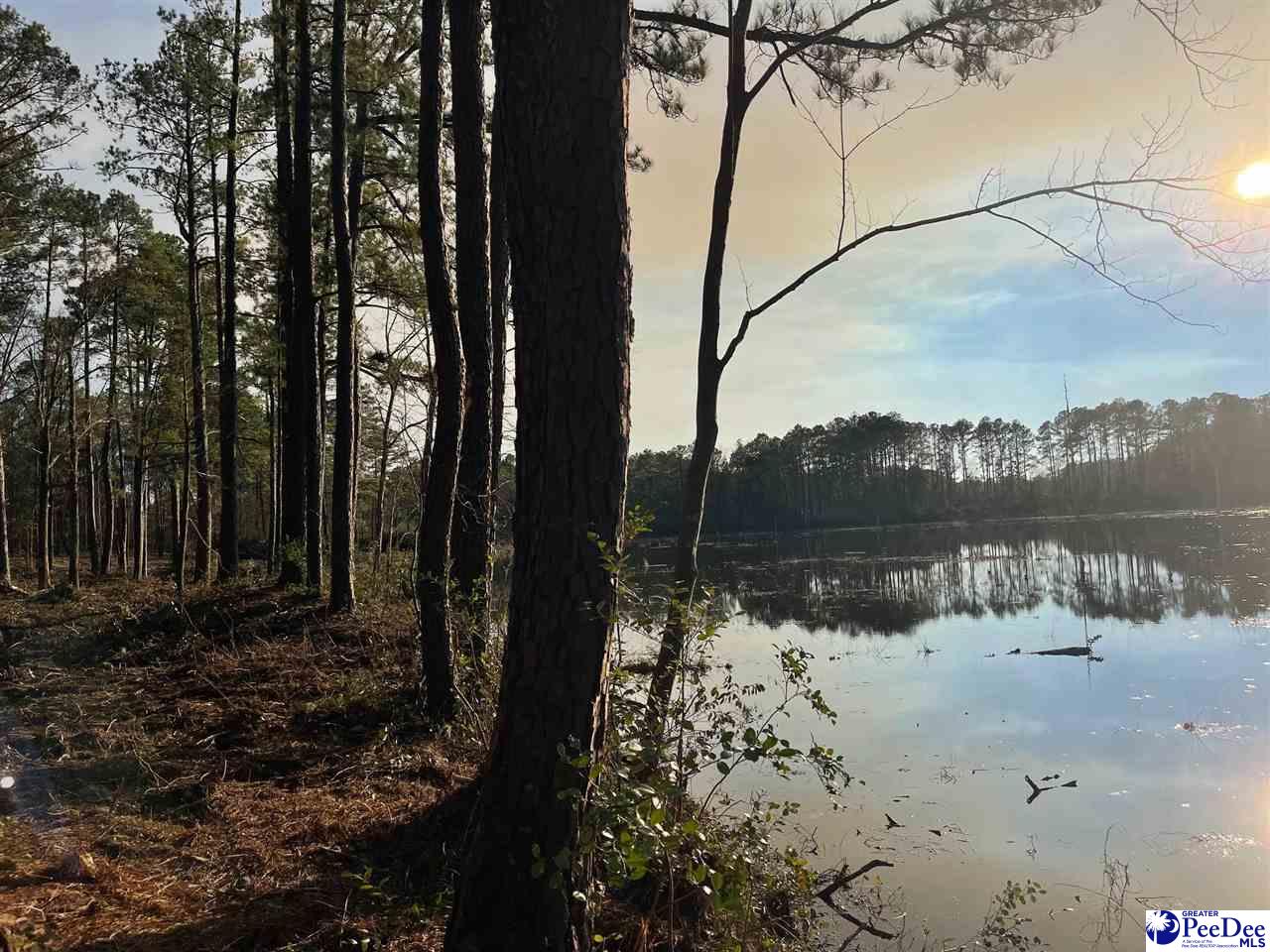 McBride Road