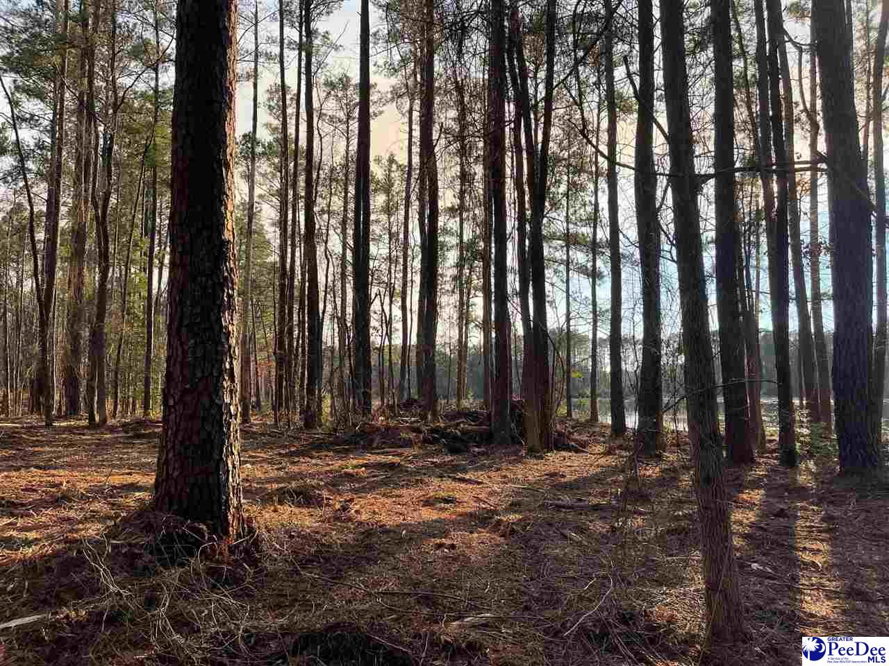 McBride Road