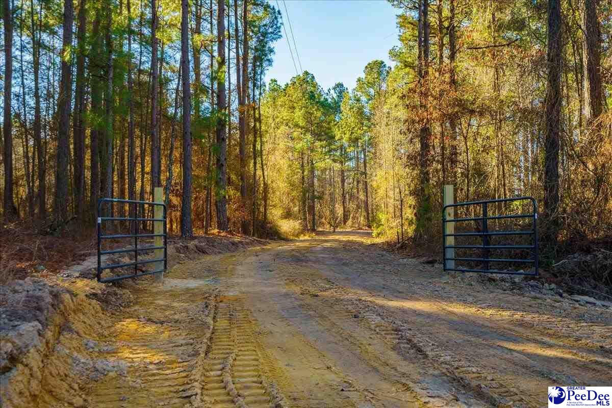 McBride Road
