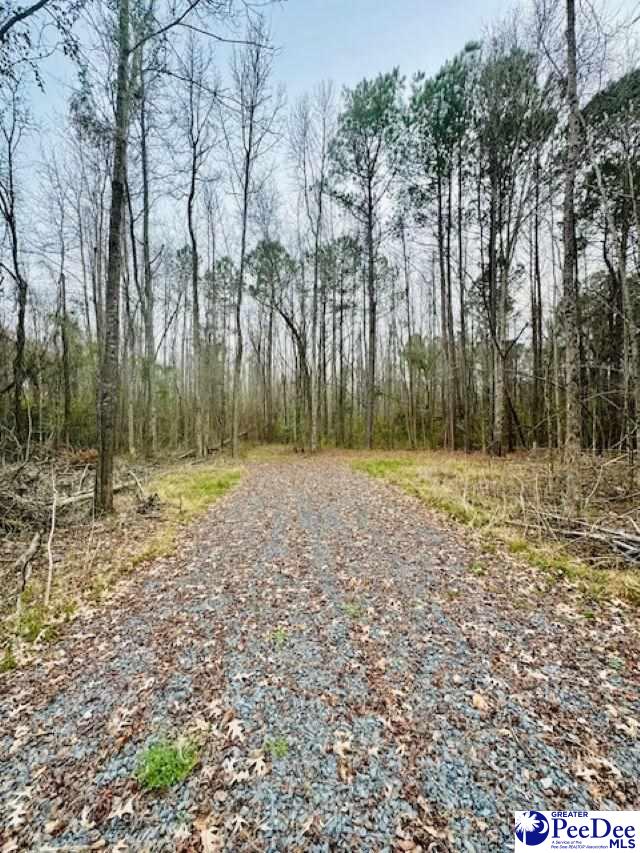 364 Longhorn Lane