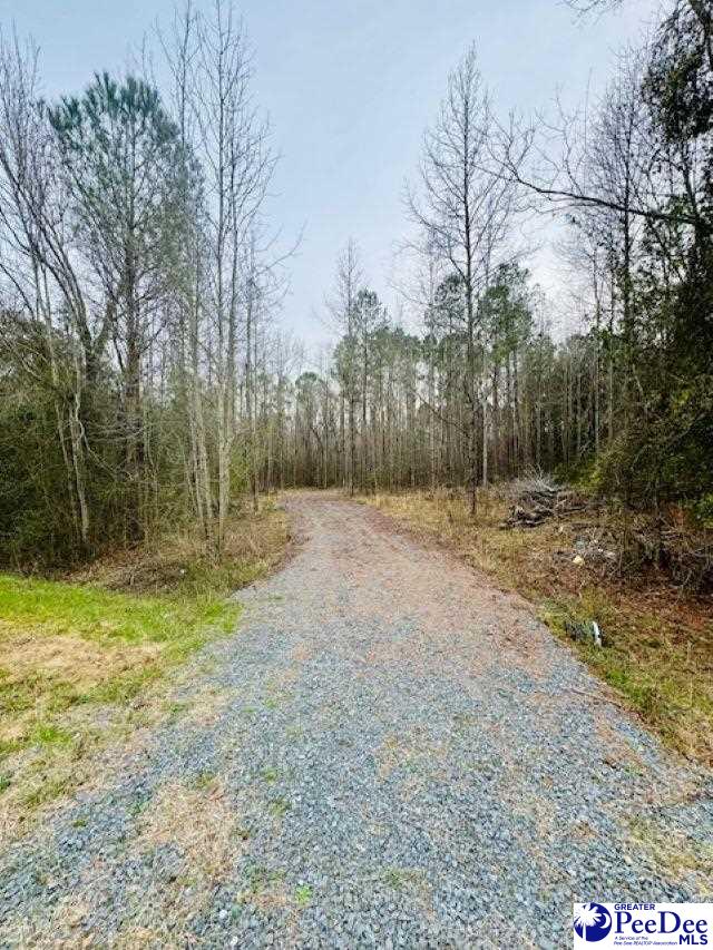 364 Longhorn Lane