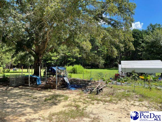 694 Henry Curry Rd