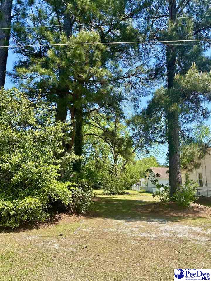 Photo of 160 S Homestead Dr, Florence, SC 29501