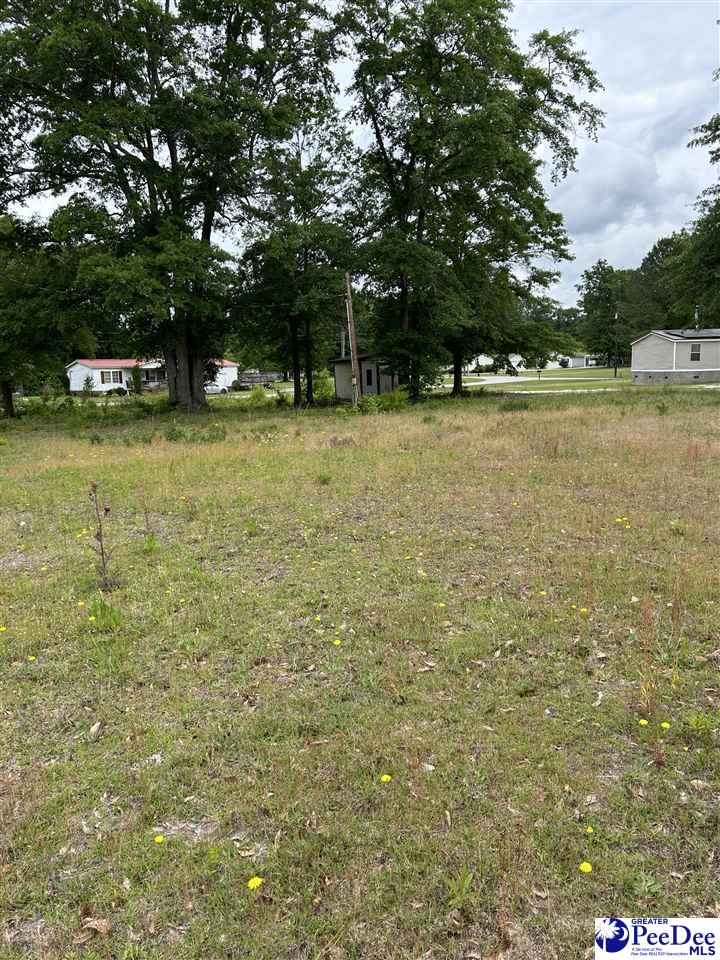 Lot 19 Vickie Lane