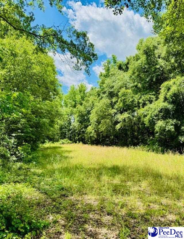 377 Tatum Rd