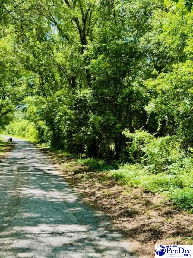 377 Tatum Rd