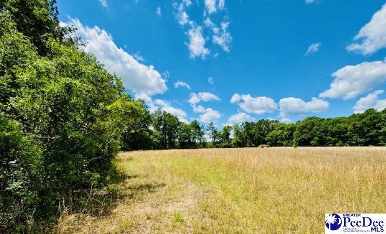 377 Tatum Rd