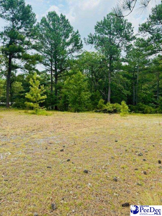 253 Buck Springs Lane