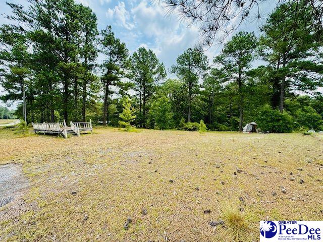 253 Buck Springs Lane