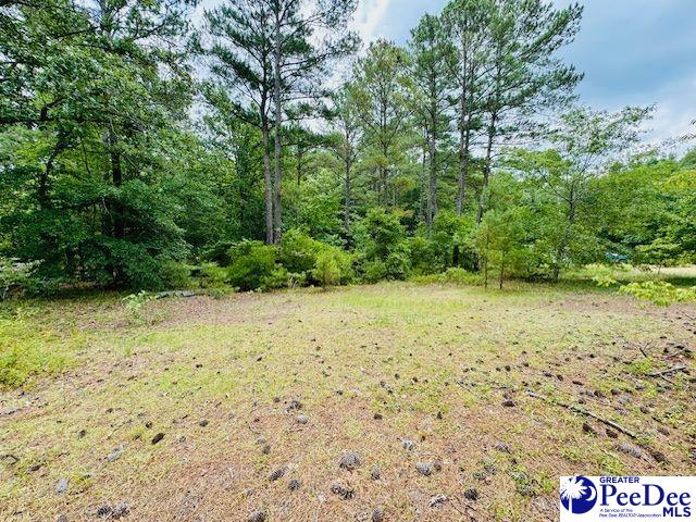 253 Buck Springs Lane