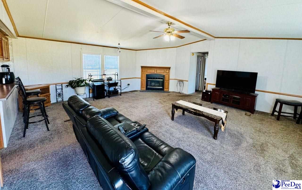 65 PE Lee Lane