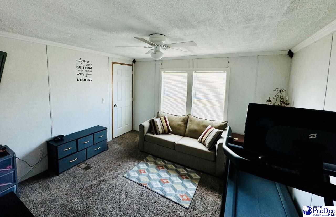 65 PE Lee Lane