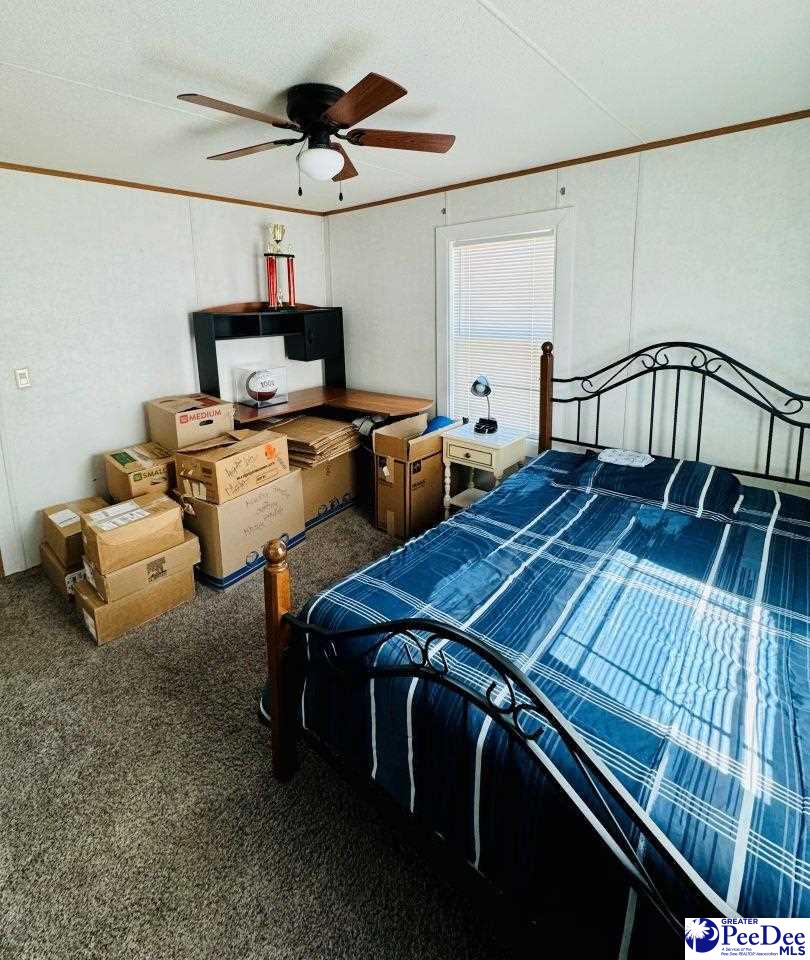 65 PE Lee Lane
