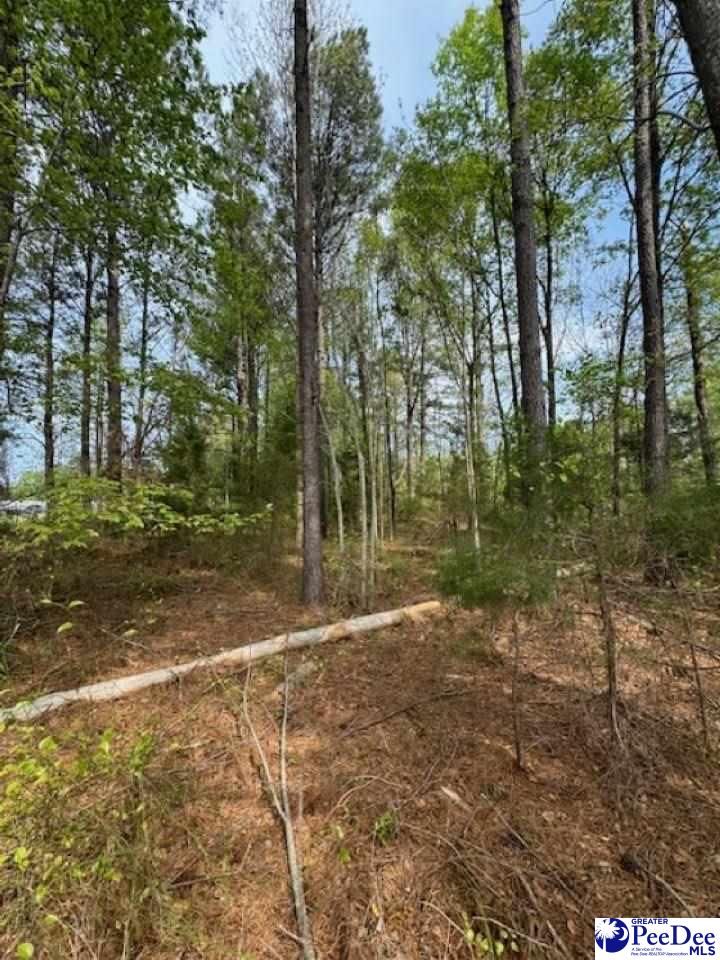 Bounty Acres Rd E