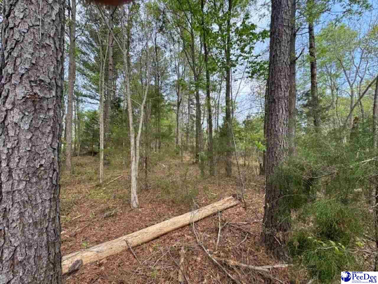 Bounty Acres Rd E