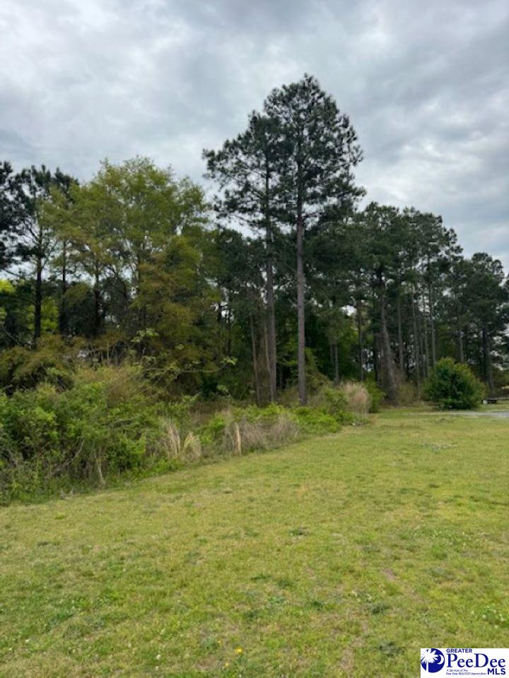 Hwy 385 South