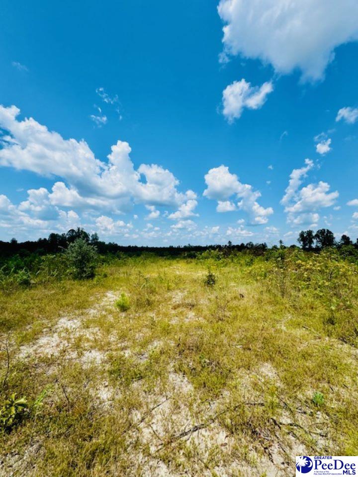 817 Riley Road