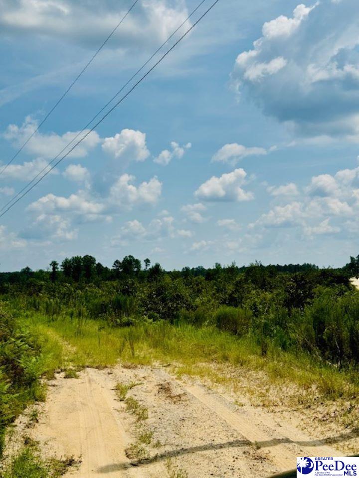 817 Riley Road