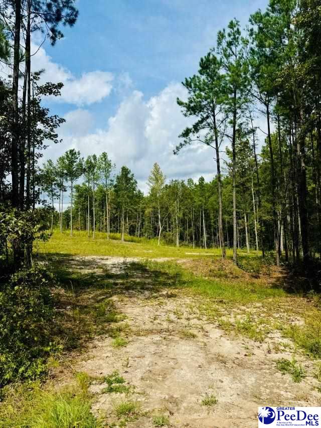 2025 Sam Jones Rd