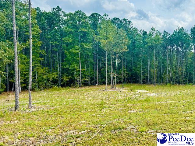 2025 Sam Jones Rd