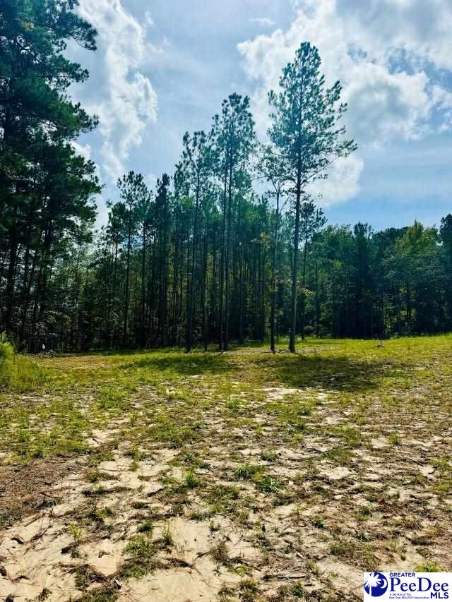2025 Sam Jones Rd