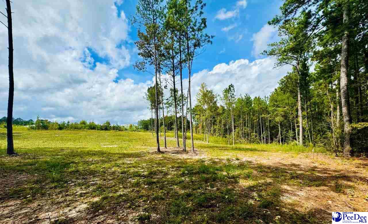 2025 Sam Jones Rd