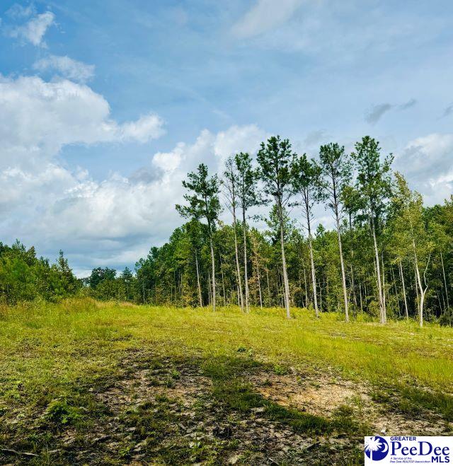 2025 Sam Jones Rd