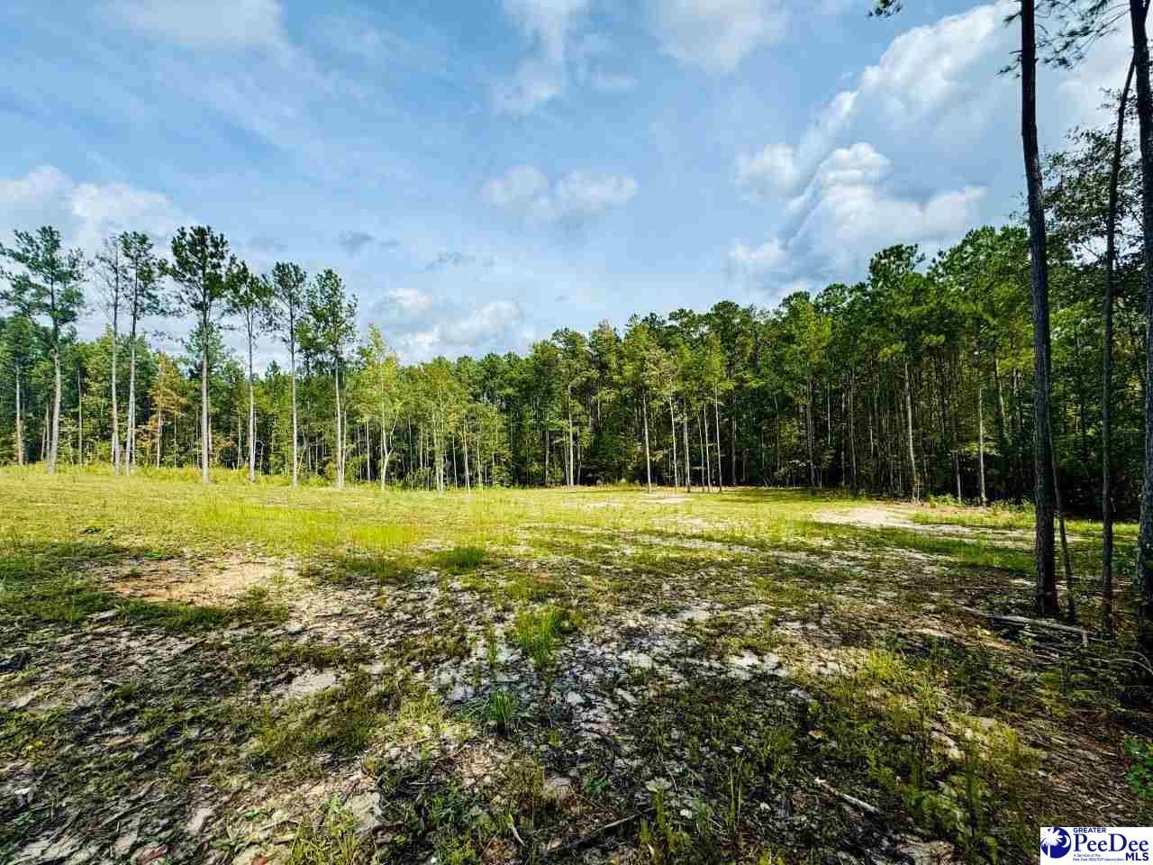 2025 Sam Jones Rd