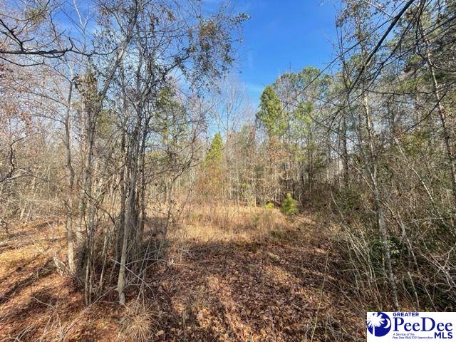 2025 Sam Jones Rd