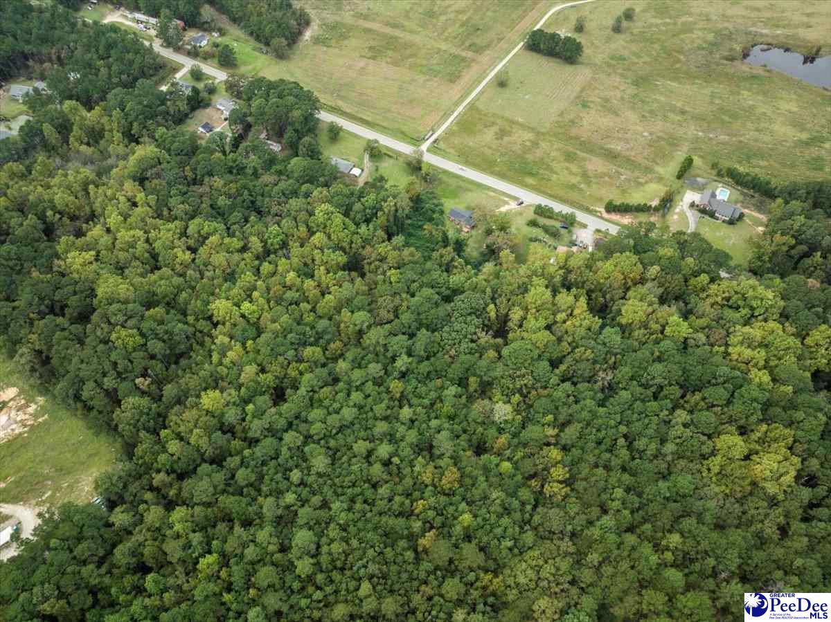 845 Hwy 145 S.