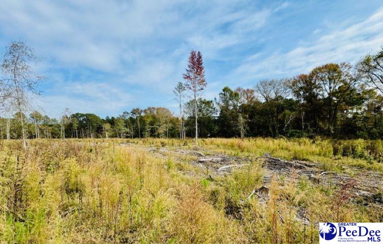 0000 Woodbine Ln (Lot 2)