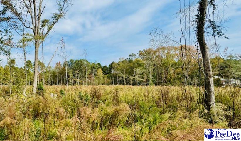0000 Woodbine Ln (Lot 2)
