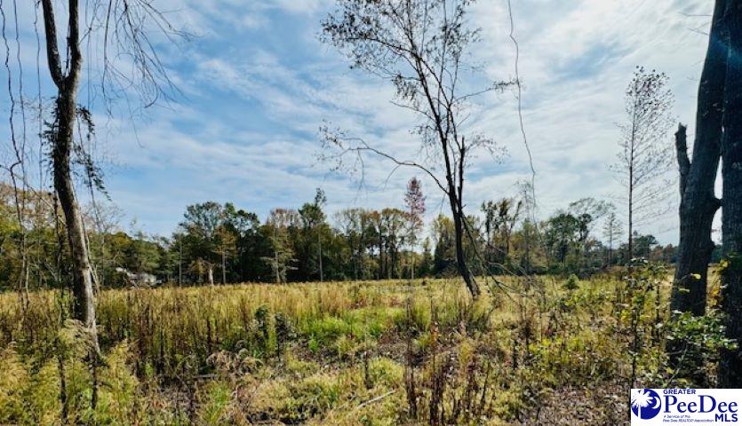 0000 Woodbine Ln (Lot 2)