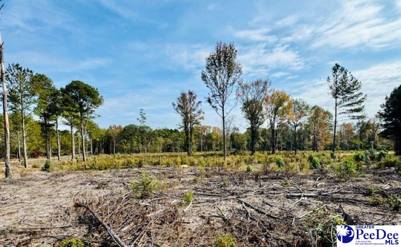 0000 Bridlewood Rd (Lot 1)