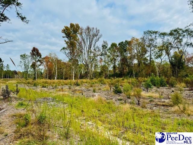 0000 Santa Anita Rd (Lot 5)