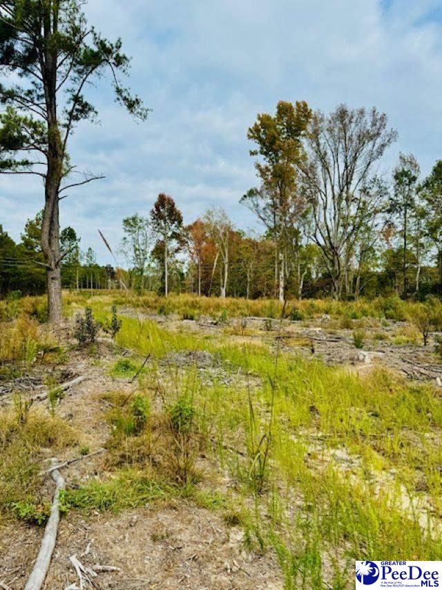 0000 Santa Anita Rd (Lot 5)