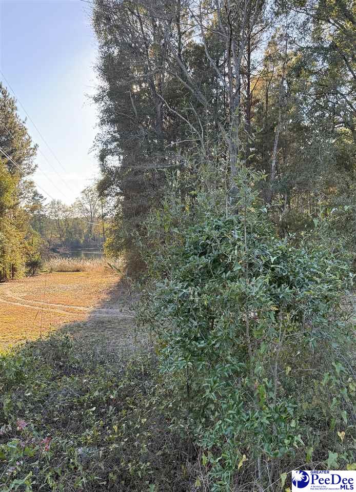 2935 Jackson Road
