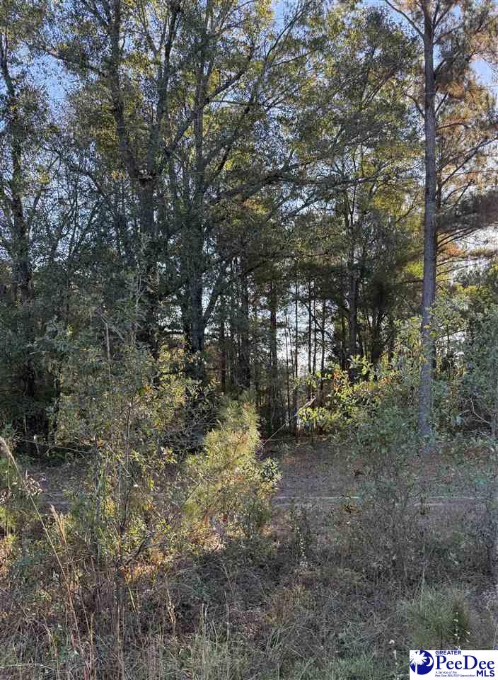 2935 Jackson Road