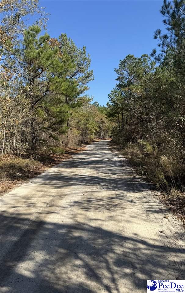 TBD Nivens Road